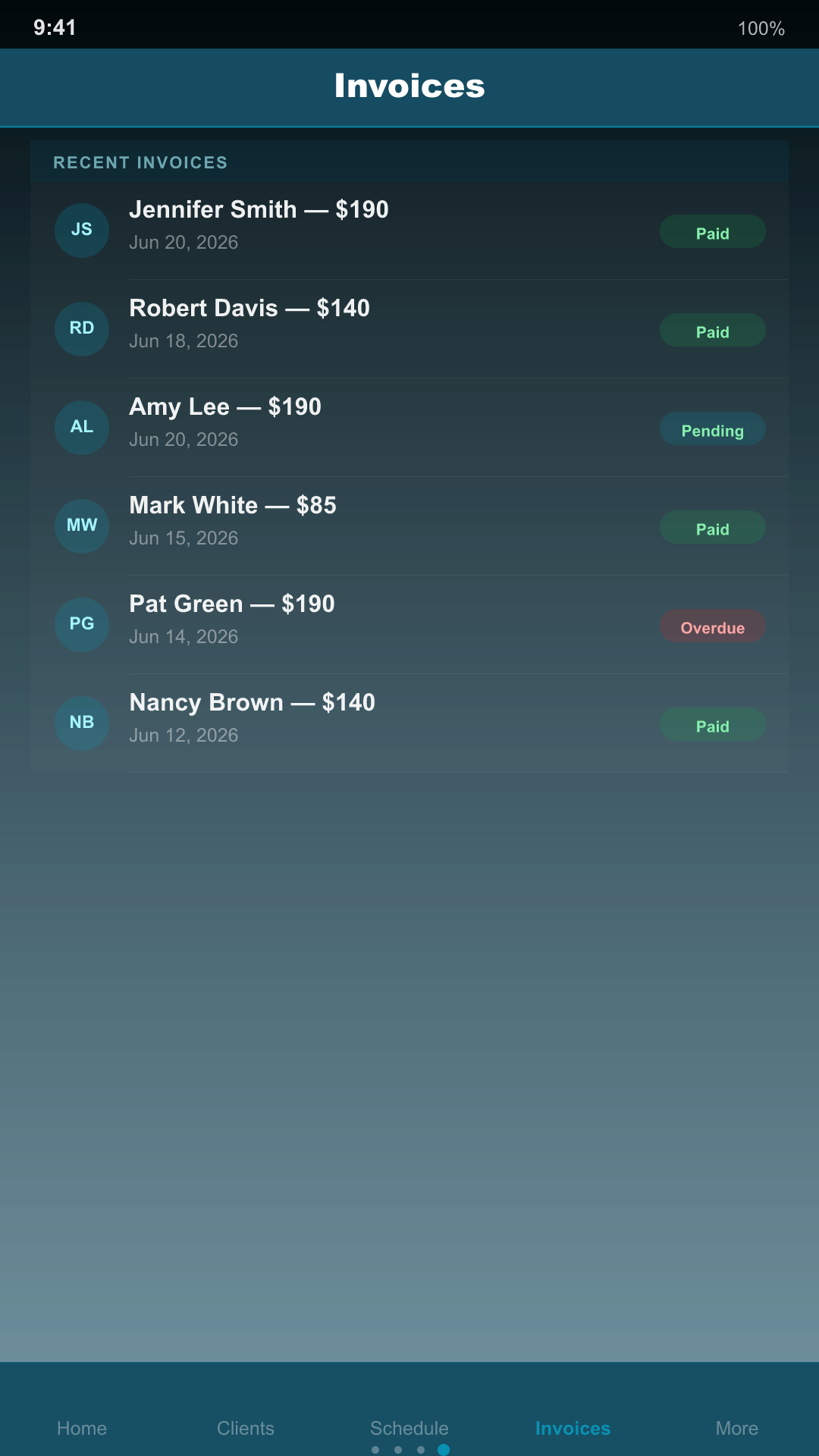 House Cleaner Pro screenshot 4